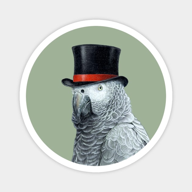 Grey parrot Magnet by Mikhail Vedernikov